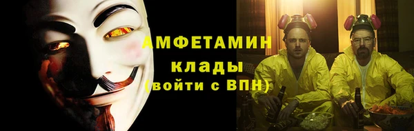 хмурый Верея