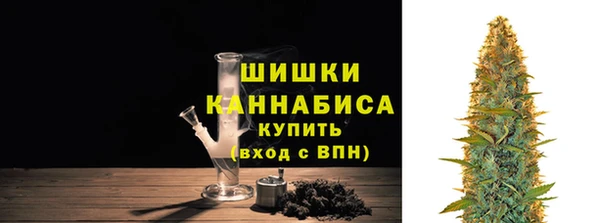 молекула духа Бронницы