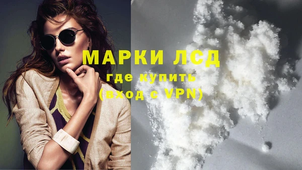 хмурый Верея