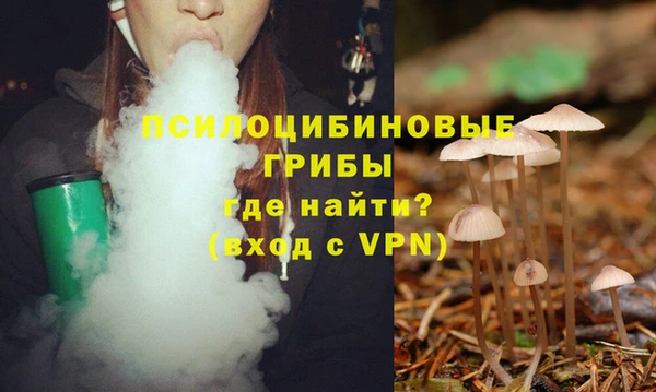 альфа пвп Володарск
